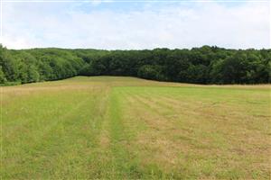 Záber na monitorovaný biotop.