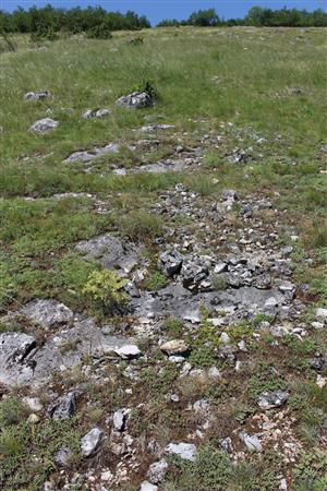 Záber na monitorovaný biotop.