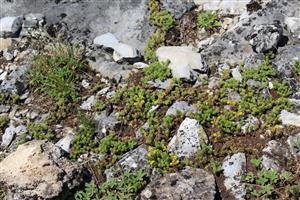 Záber na monitorovaný biotop.