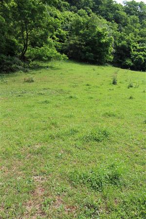 Záber na monitorovaný biotop.