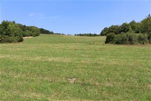 Záber na monitorovaný biotop.