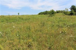 Záber na monitorovaný biotop.