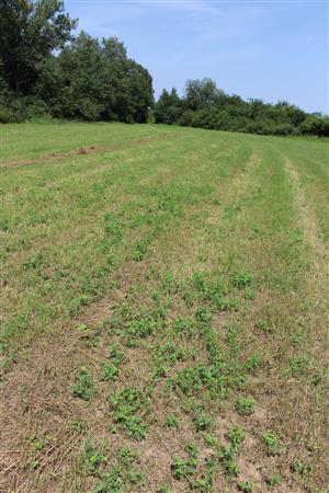 Záber na monitorovanú lokalitu.