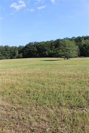 Záber na monitorovaný biotop.
