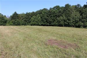 Záber na monitorovaný biotop.