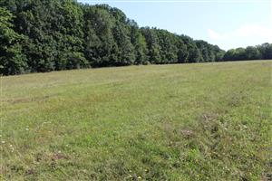 Záber na monitorovaný biotop.