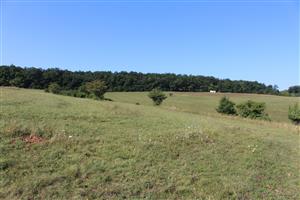 Záber na monitorovaný biotop.