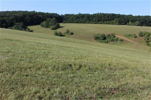 Záber na monitorovaný biotop.