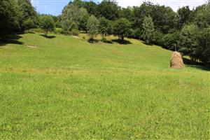 Záber na monitorovaný biotop.