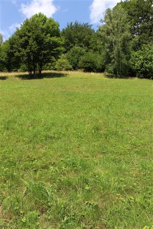 Záber na monitorovaný biotop.