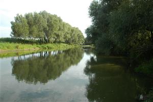Horná časť TML, oslnený (levý, mďarský, štrkovito-piesčitý, ílovito-hlinitý) breh Ipľu, vhodný habitát pre gomphidy.