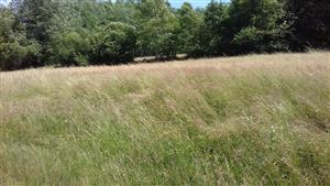 Pohľad na TML_6510_861_01