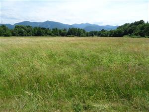 pohľad na J časť polygónu