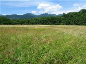 pohľad na S časť polygónu