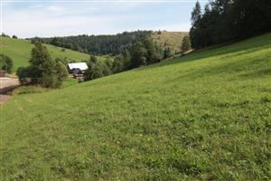 pohľad na lokalitu