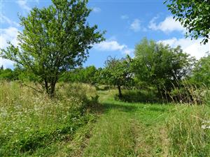 terasy v Z časti lokality