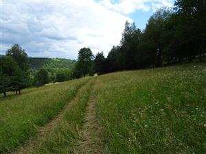 západná časť polygónu