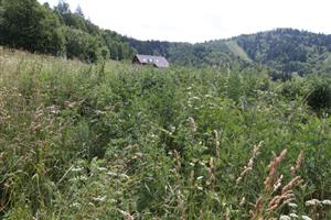 pohľad na lokalitu_kosená a pasená časť