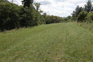 pohľad na kosenú a pasenú časť