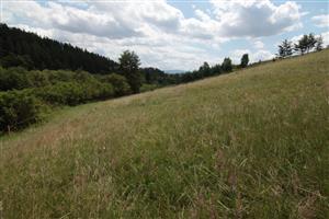 pohľad na kosenú časť