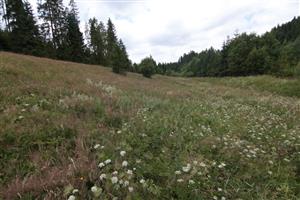 pohľad na lokalitu_smerom o doliny