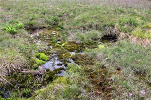 Slatina je napájaná silnými prameňmi vápnitej vody.