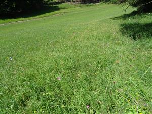 pohľad na časť lokality