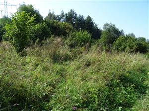 charakter zarastajúceho biotopu