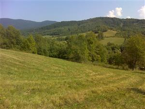 Pohľad na TML BisoBona_001 a