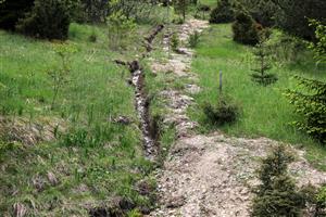 Na jar 2019 vykopaný odvodňovací rigol sťahuje vodu z podstatnej časti TML