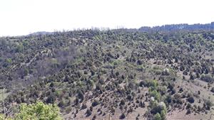 lokalita : TML_ErioCata_20190420.001.jpg