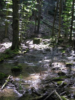 kaskády