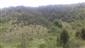 lokalita :TML_ParnMnem_016_20190501_001.jpeg.jpg