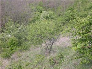 lokalita : TML_ParnMnem_017_20190420_001.jpeg.JPG