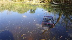 TML (živolovná pasca v litoráli)