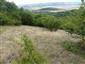 TMP2_TML_StenEura_010