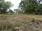 TMP1_TML_StenEura_010