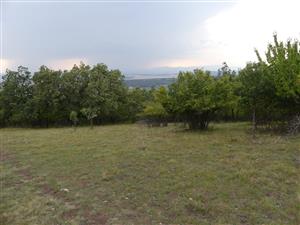 TMP1_TML_StenEura_003