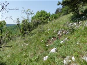 TMP2_TML_StenEura_002