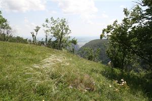 TMP1_TML_StenEura_008