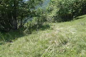 TMP2_TML_StenEura_008