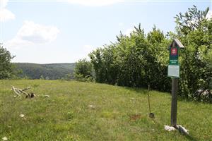 TMP3_TML_StenEura_008