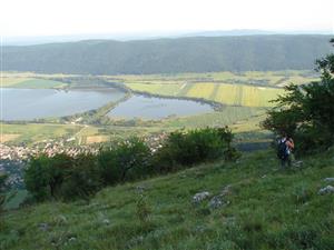 TMP1_TML_StenEura_005