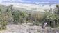TMP1_TML_StenEura_004