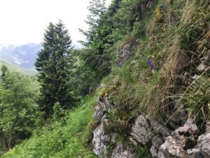 Pohlad na lokalitu, upatie skalnych stien vo vrhcolovej casti hrebena
