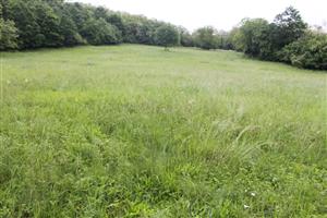 Celkový pohľad na TML.