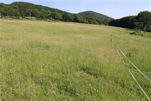 celkový pohľad na TML