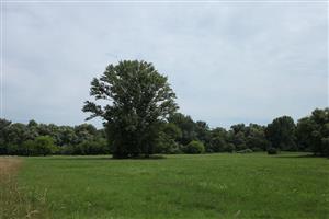 Fotografia zachytáva TML.