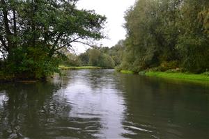 Turiec Košťany - lokalita proti prúdu