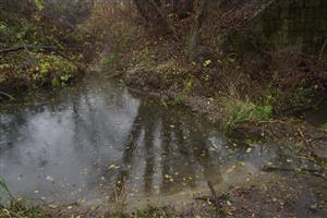hať 02